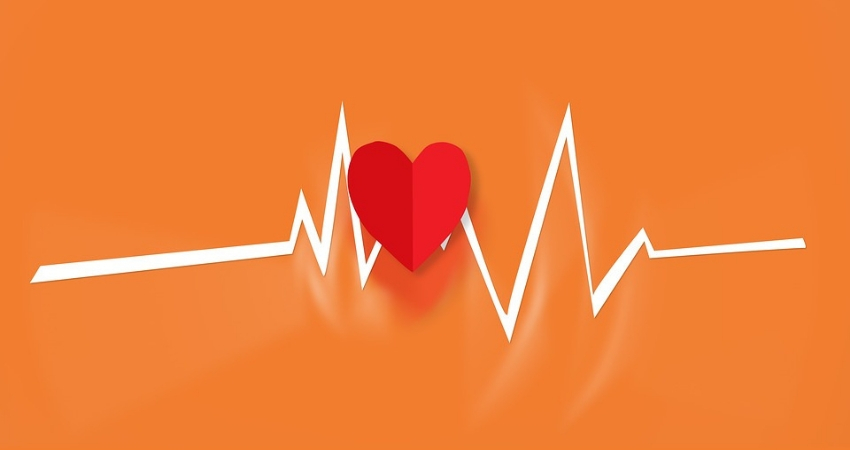 Tiroide, cuore, tachicardia: sono collegati ?