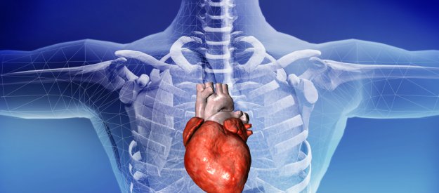 Deformazione miocardica bioventricolare e cardiopatia